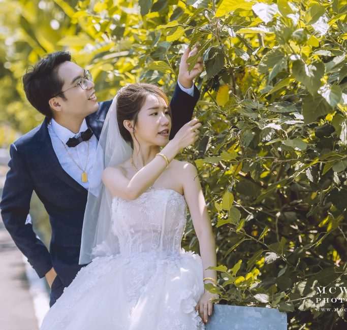 51699371811_4fc7168861_3k